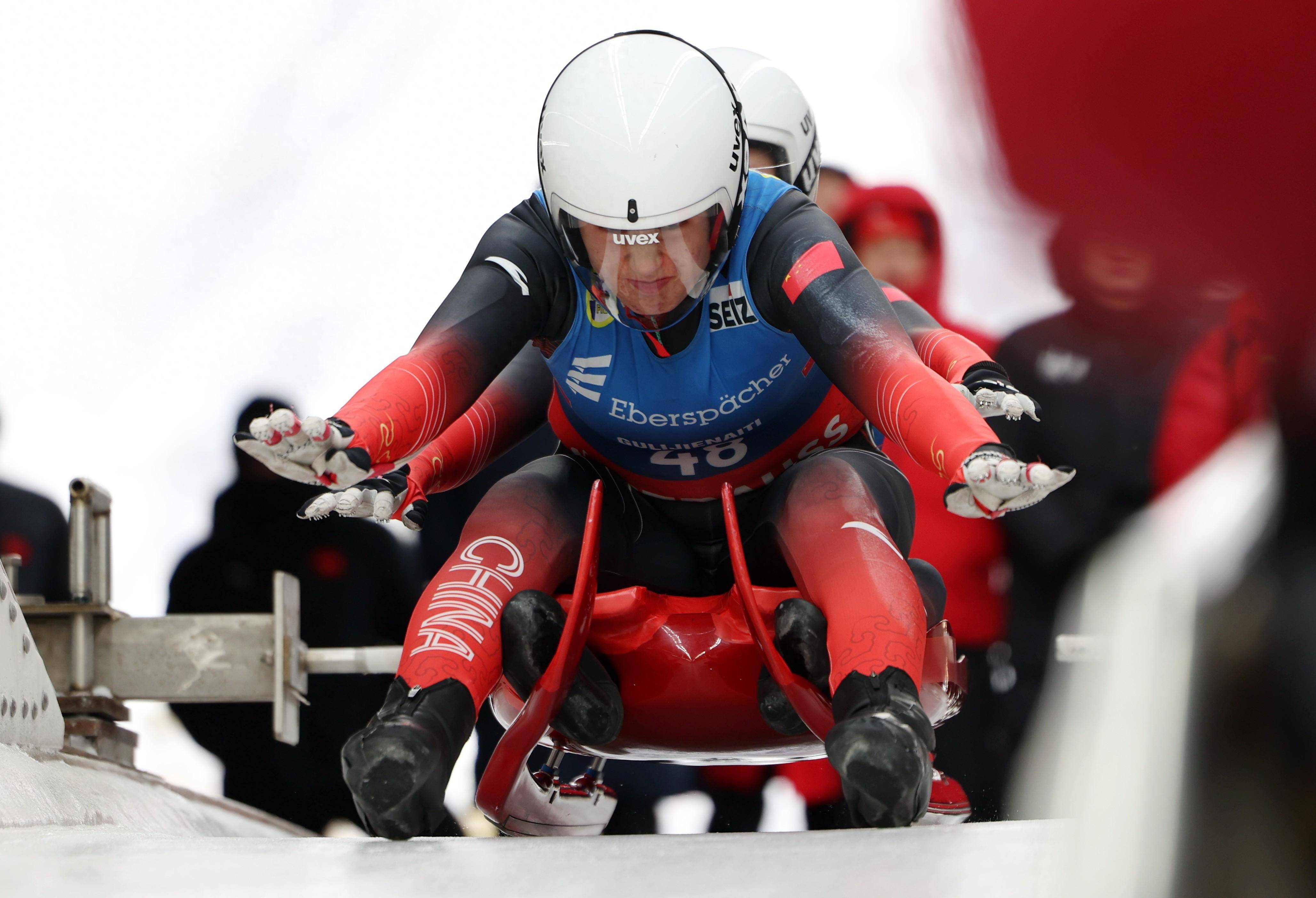9体育-包含狗拉雪橇比赛，激情冬日运动体验的词条