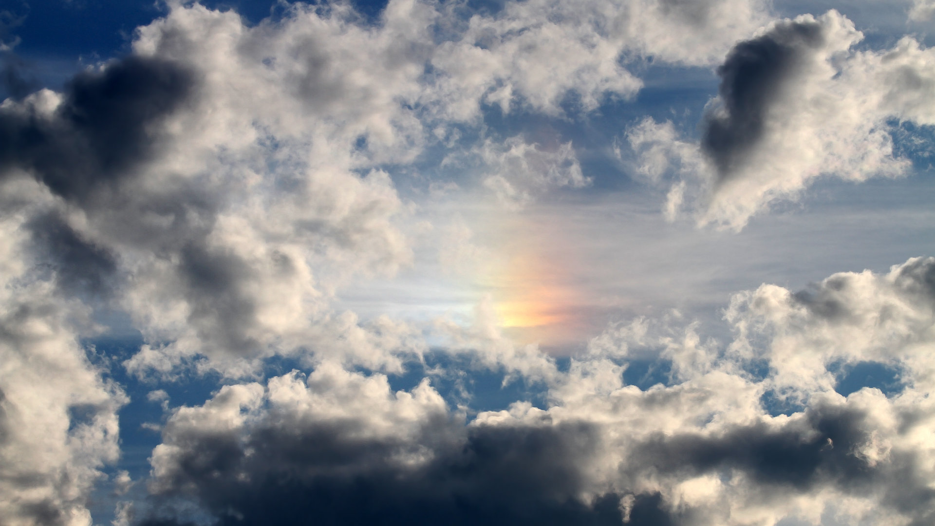 九游娱乐登录-上海申花换帅完成主教练签约目标明确，上海申花主帅主教练