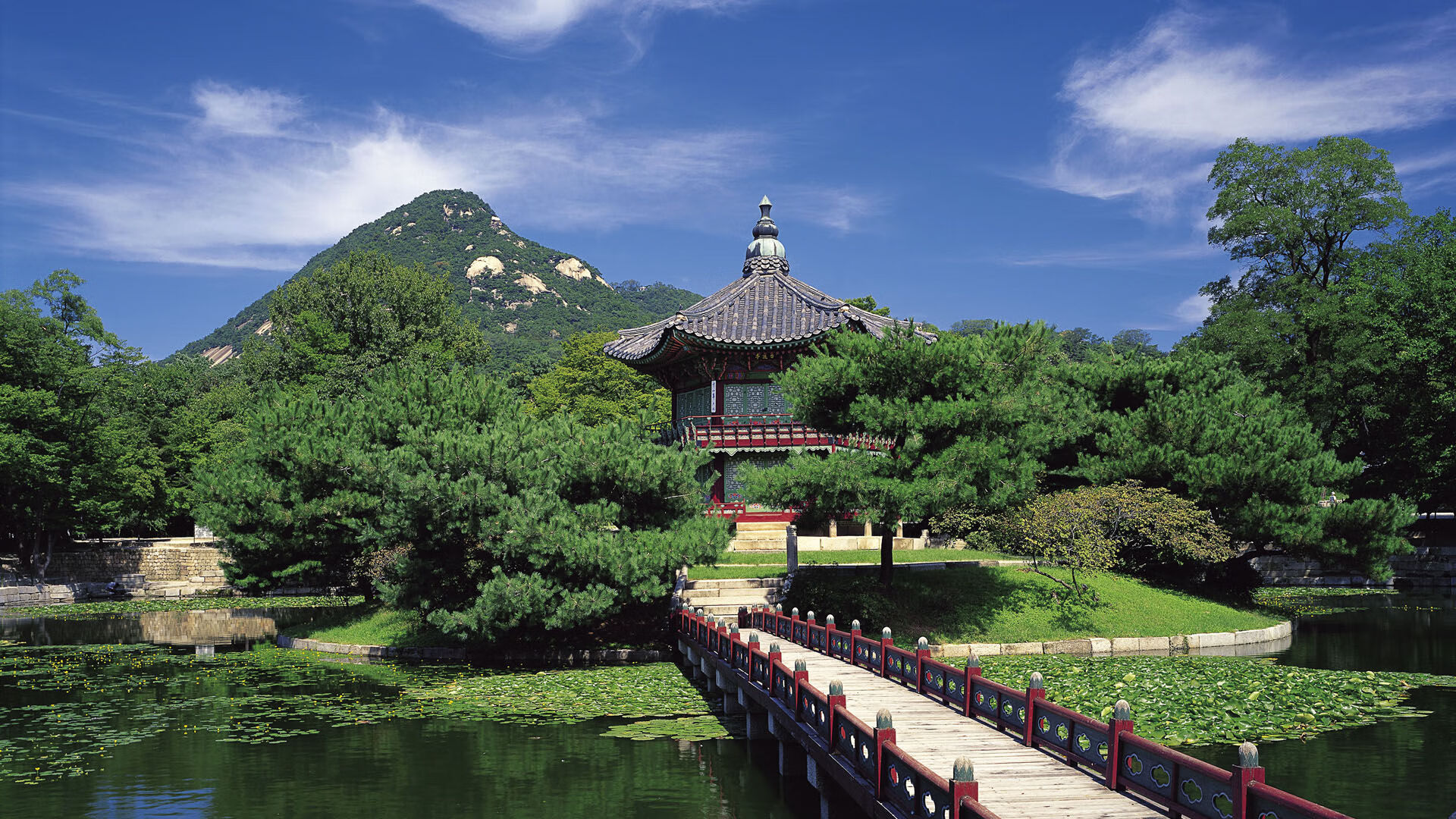 九游下载-曼联遭遇惨败，客场输给了布鲁日，曼联对布莱顿比分预测