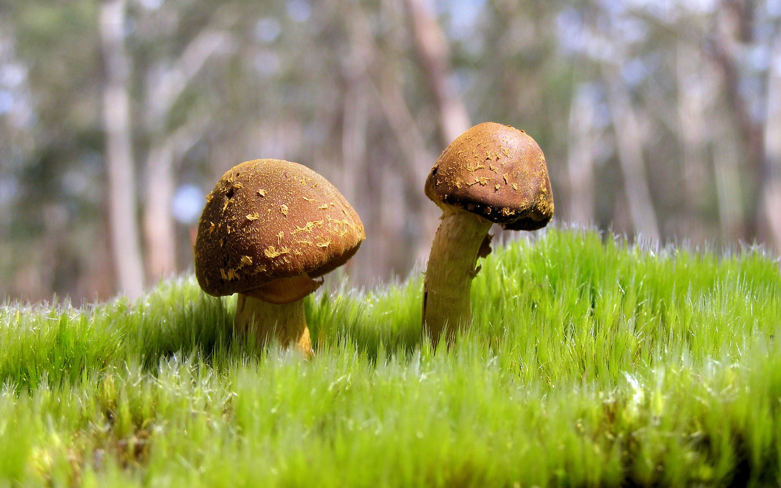 九游下载-欧洲杯预选赛各支球队实力对比，竞争日益激烈，欧洲杯各队预选赛成绩