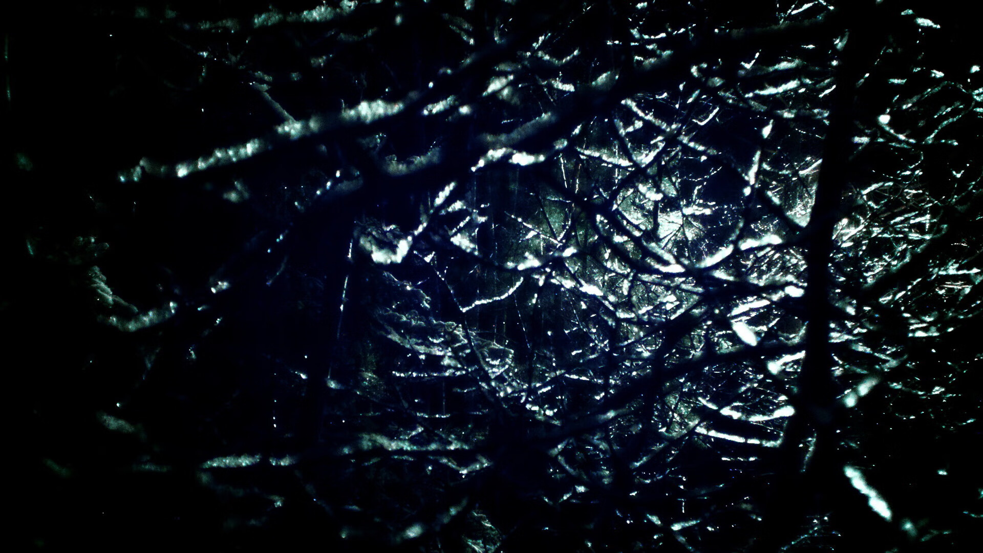 泰国马术协会授予胡安·卡洛斯·费尔南德斯“年度最佳马术教练”称号。