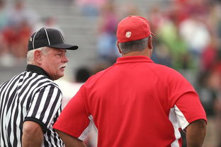 九游娱乐体育官网-意甲裁判语义分析辅助判罚准确性的应用探讨，意甲 裁判