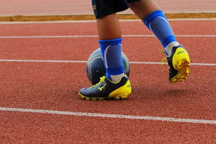 九游娱乐官网入口-篮球运动员心理健康支持体系构建，篮球运动员心理健康支持体系构建方案