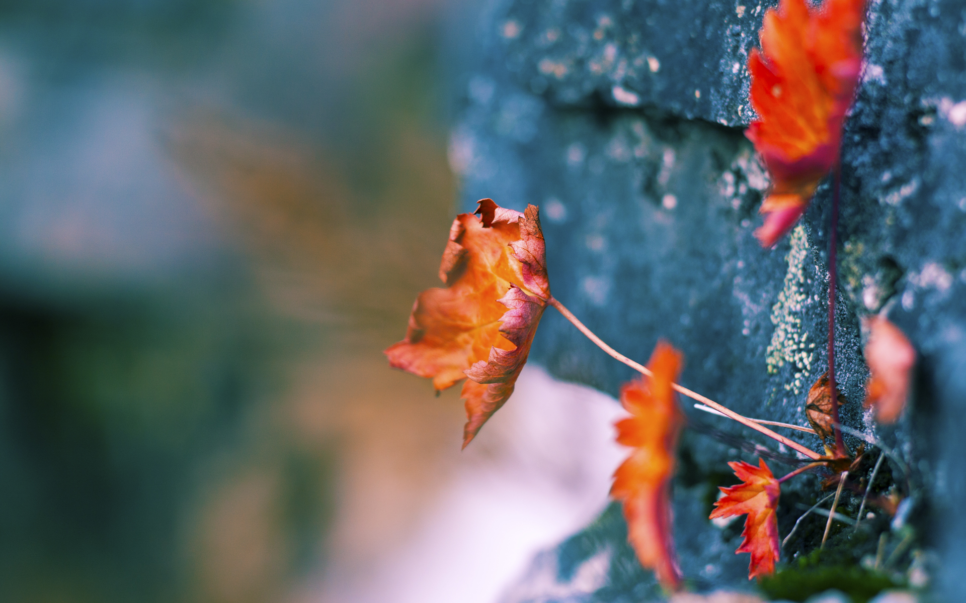 伊朗男篮在亚洲预赛中奋勇争先,冲击奥运荣誉,伊朗男篮厉害吗