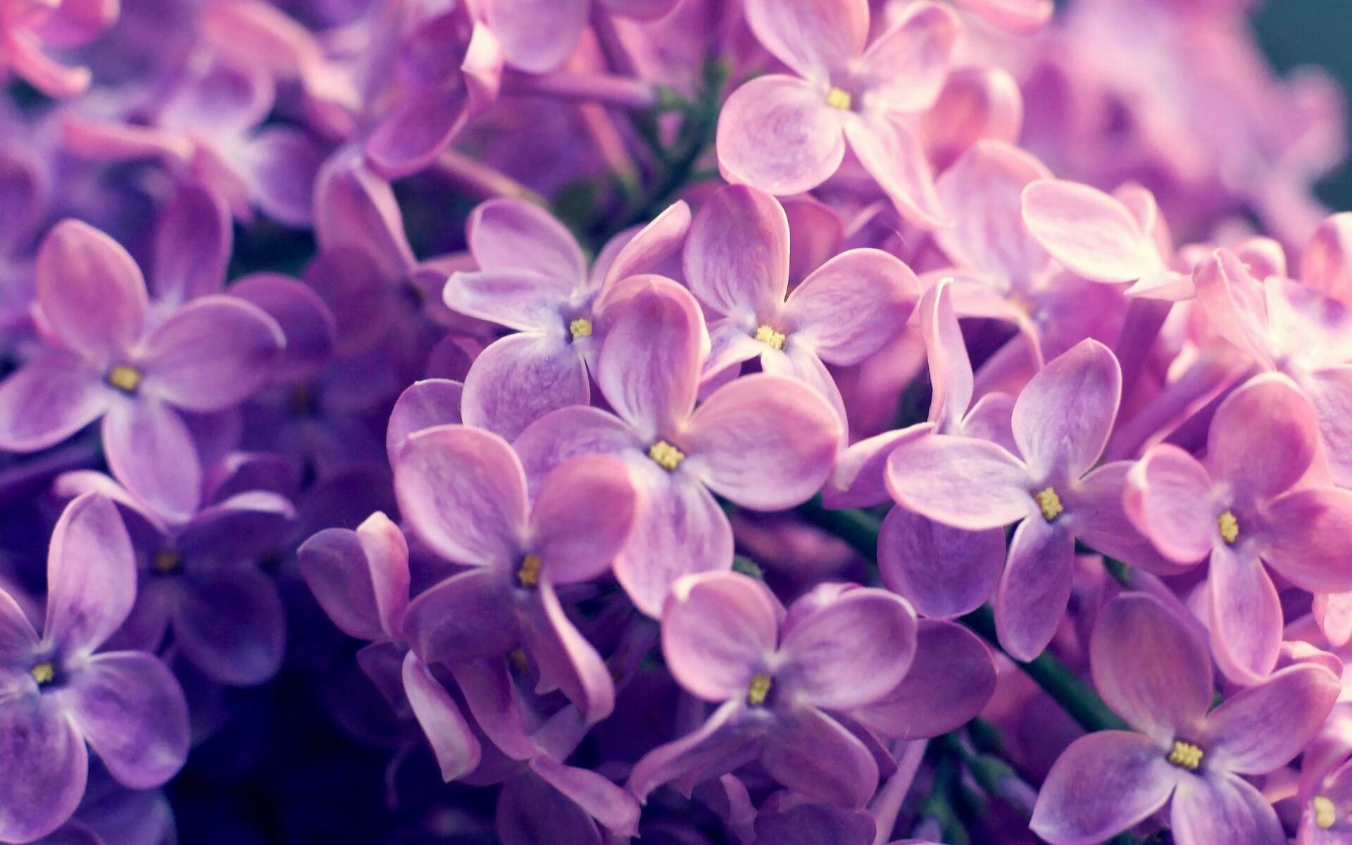 九游下载-多所中学设立篮球特长班为中国篮球培养新力量，2021初中篮球特长招生网