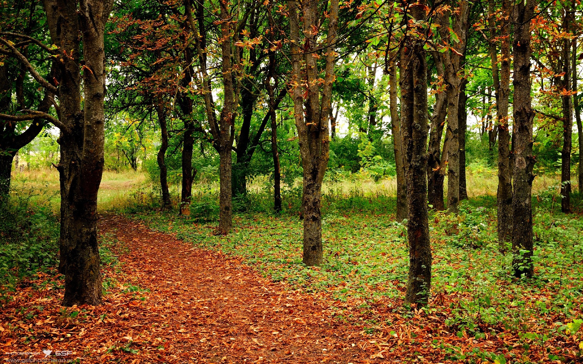 九游APP-英国男子4×200米自由泳接力决赛表现超预期，男子4×200米自由泳接力世界纪录