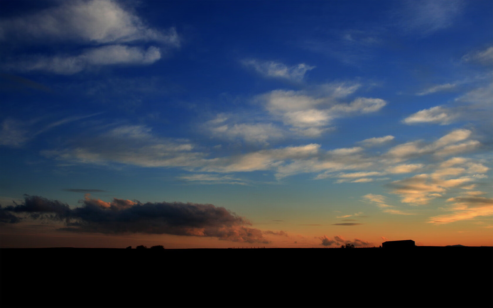 九游娱乐体育官网-跳水选手姿态优雅比利时获认可，比利时跳水运动员
